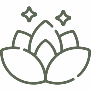 Início 12 lotus